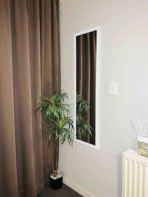 Cosy Motel Studio Apartment In Central City-Up To 2 Beds Christchurch Esterno foto